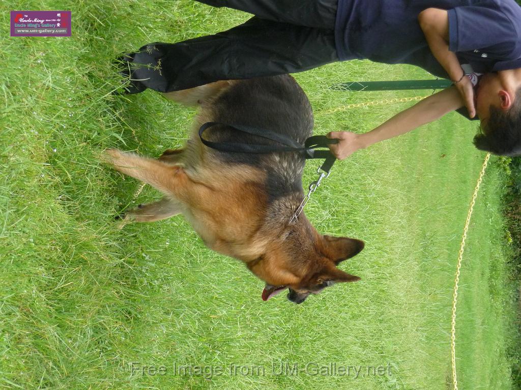 20130818jw_dog_training_P1140127.JPG