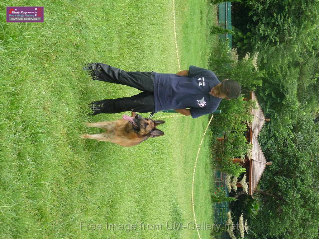 20130818jw_dog_training_P1140129.JPG