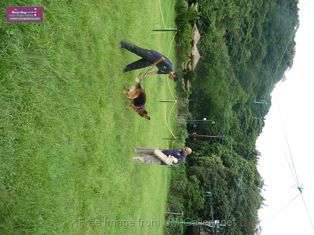 20130818jw_dog_training_P1140130.JPG