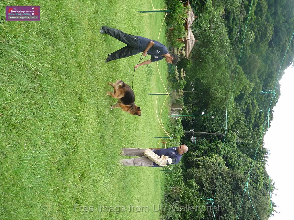 20130818jw_dog_training_P1140131.JPG