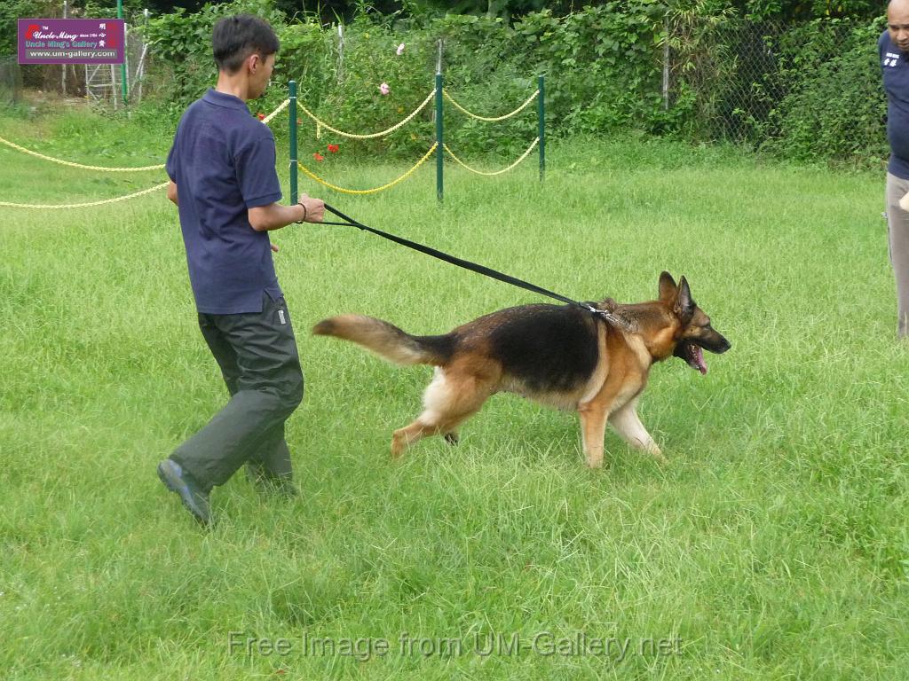 20130818jw_dog_training_P1140133.JPG