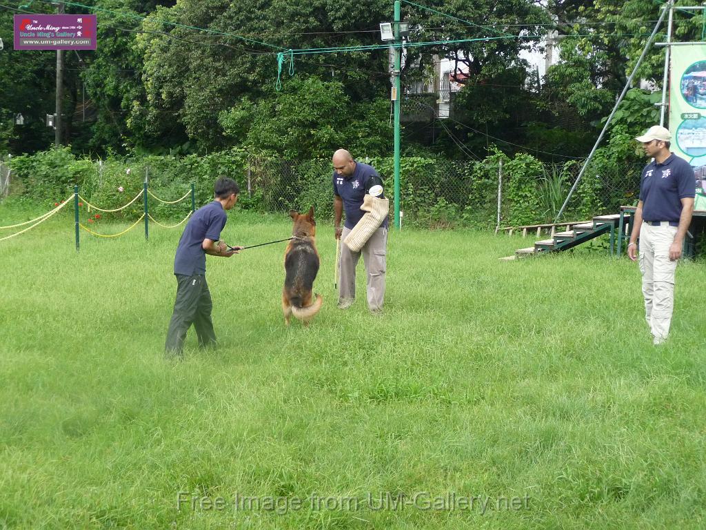 20130818jw_dog_training_P1140134.JPG