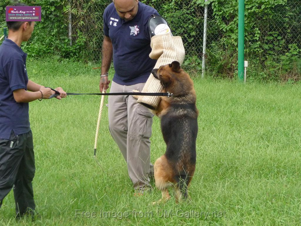 20130818jw_dog_training_P1140135.JPG