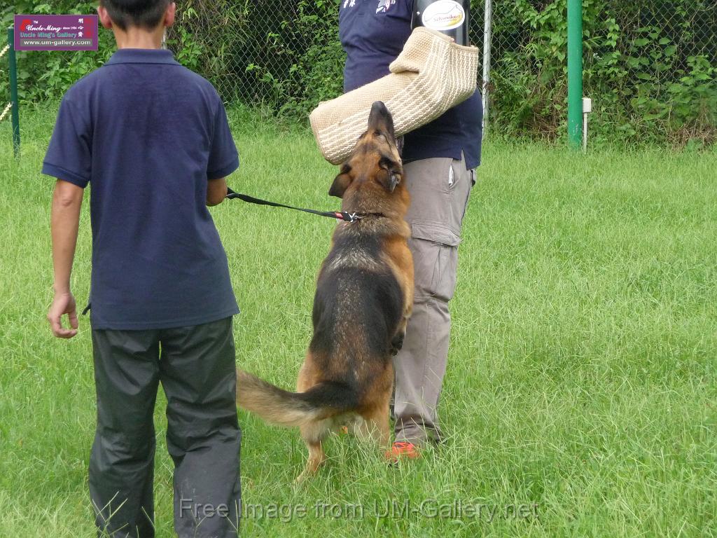 20130818jw_dog_training_P1140137.JPG