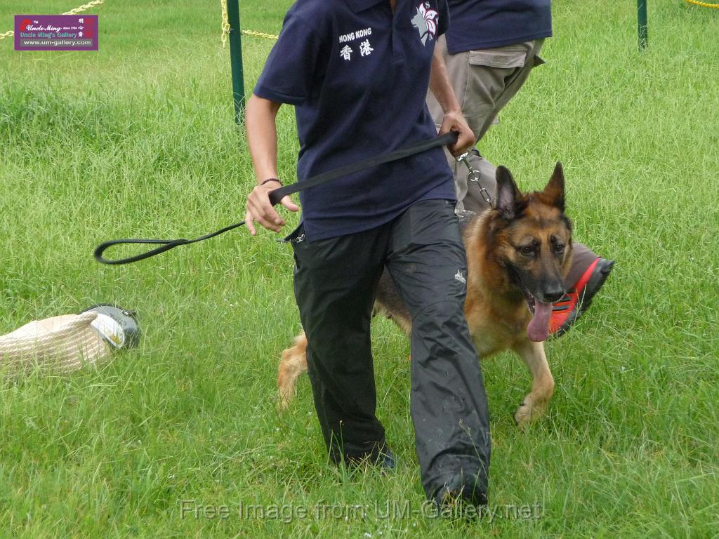 20130818jw_dog_training_P1140138.JPG