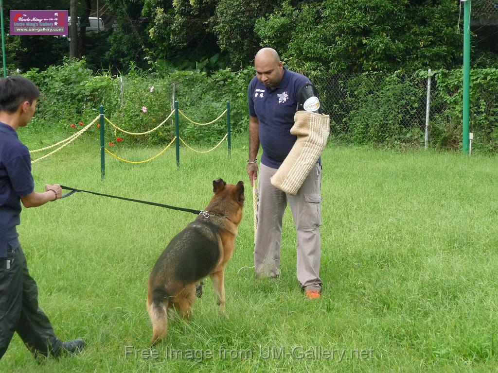 20130818jw_dog_training_P1140141.JPG