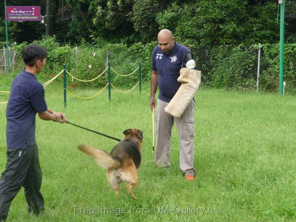 20130818jw_dog_training_P1140142.JPG