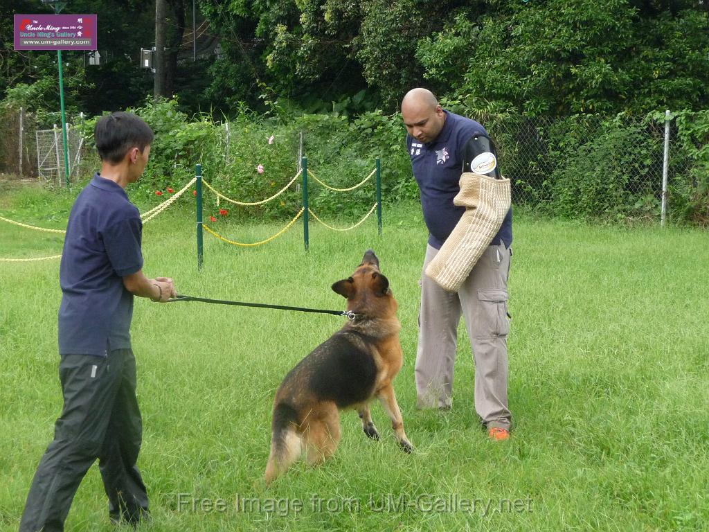 20130818jw_dog_training_P1140143.JPG