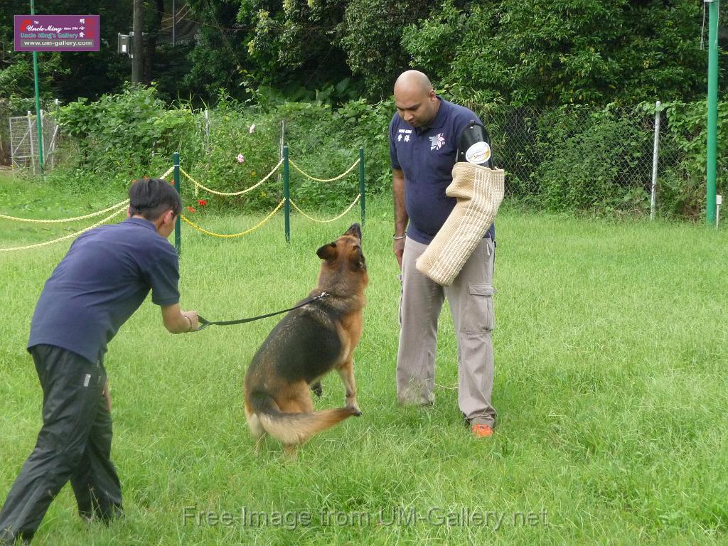 20130818jw_dog_training_P1140144.JPG