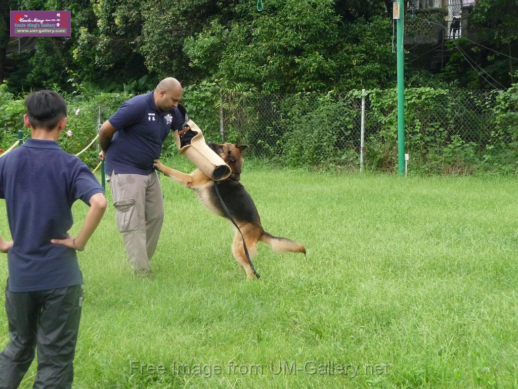 20130818jw_dog_training_P1140145.JPG