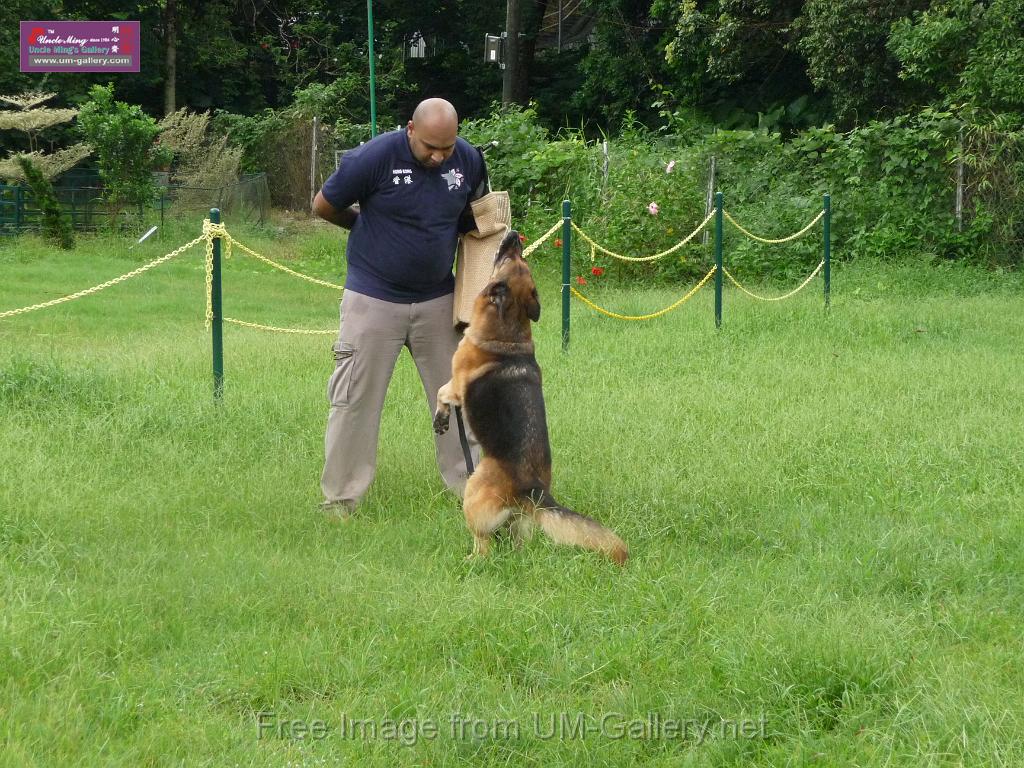 20130818jw_dog_training_P1140146.JPG