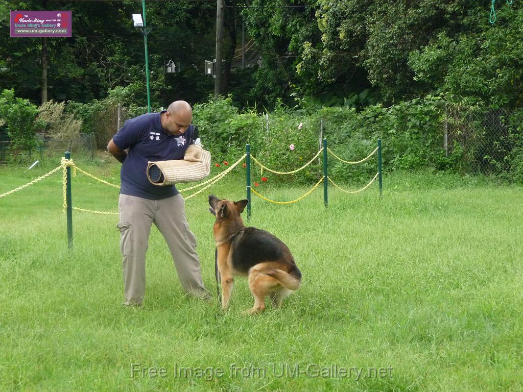 20130818jw_dog_training_P1140147.JPG