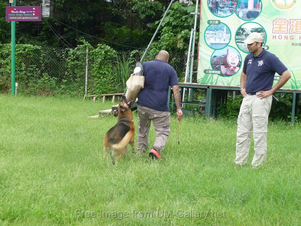 20130818jw_dog_training_P1140148.JPG