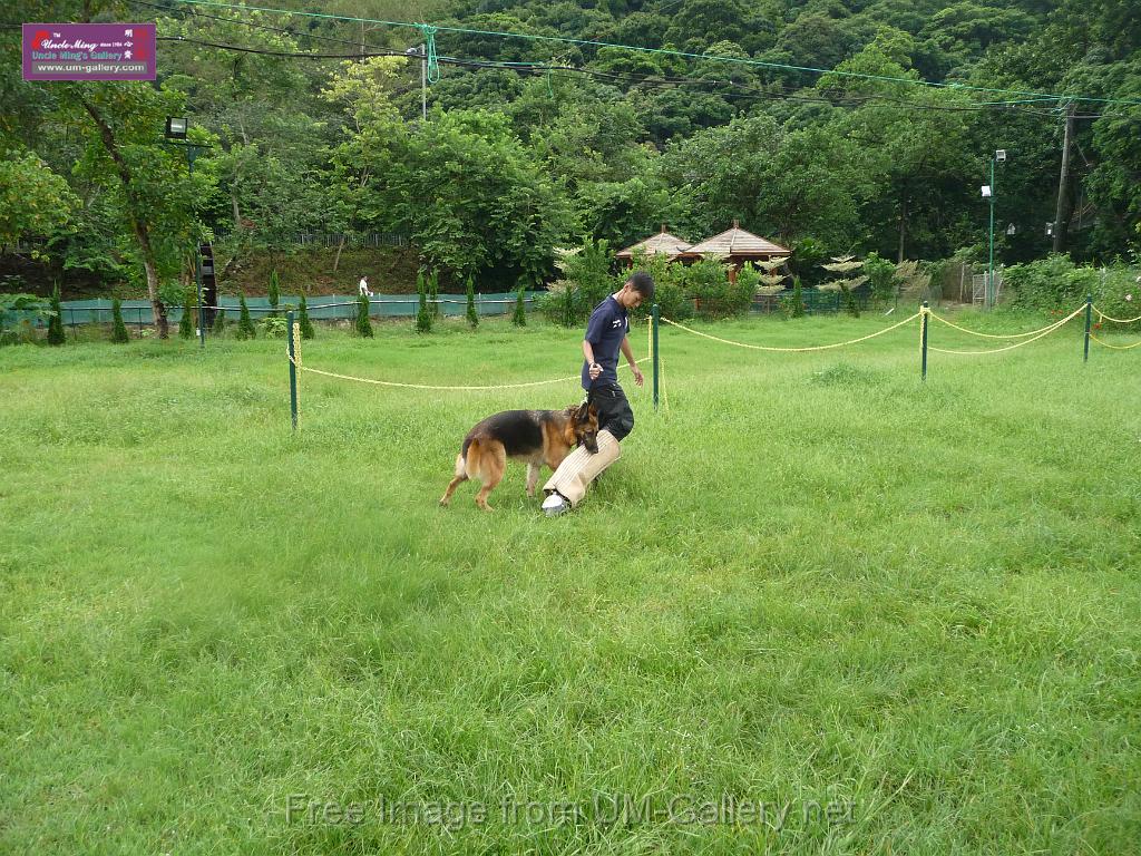 20130818jw_dog_training_P1140149.JPG