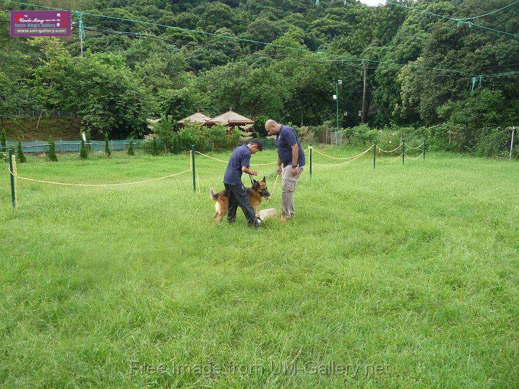 20130818jw_dog_training_P1140150.JPG