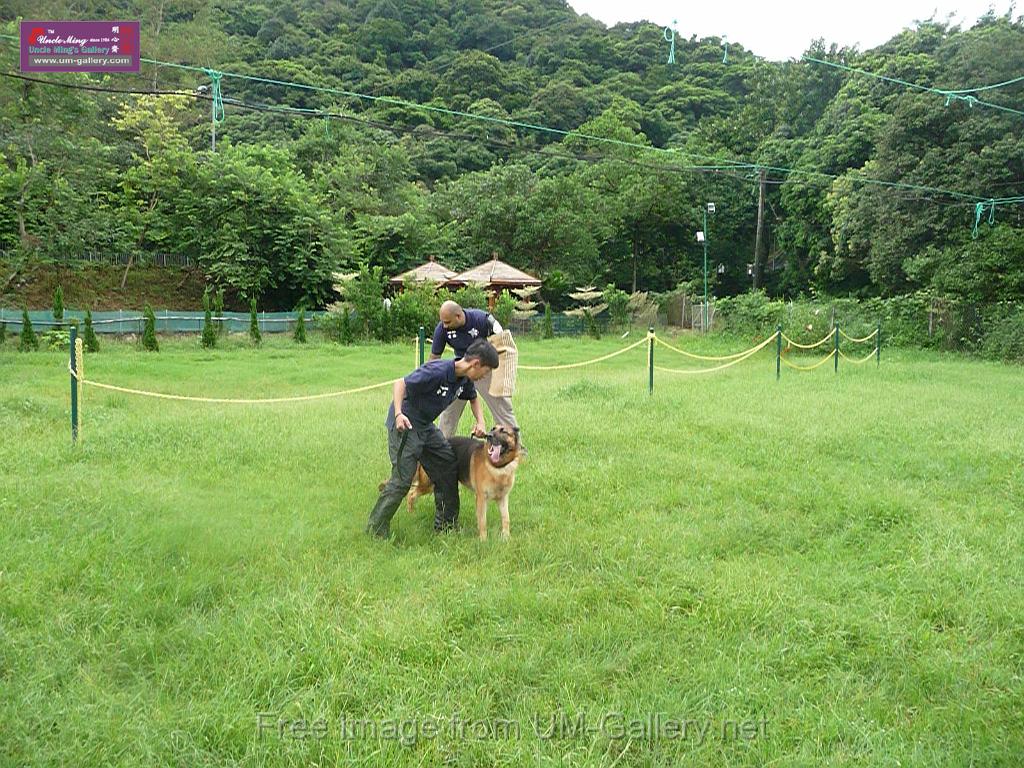 20130818jw_dog_training_P1140151.JPG