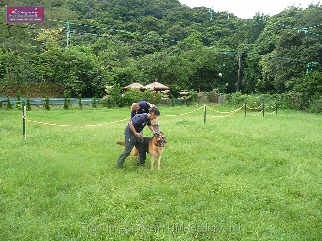 20130818jw_dog_training_P1140152.JPG