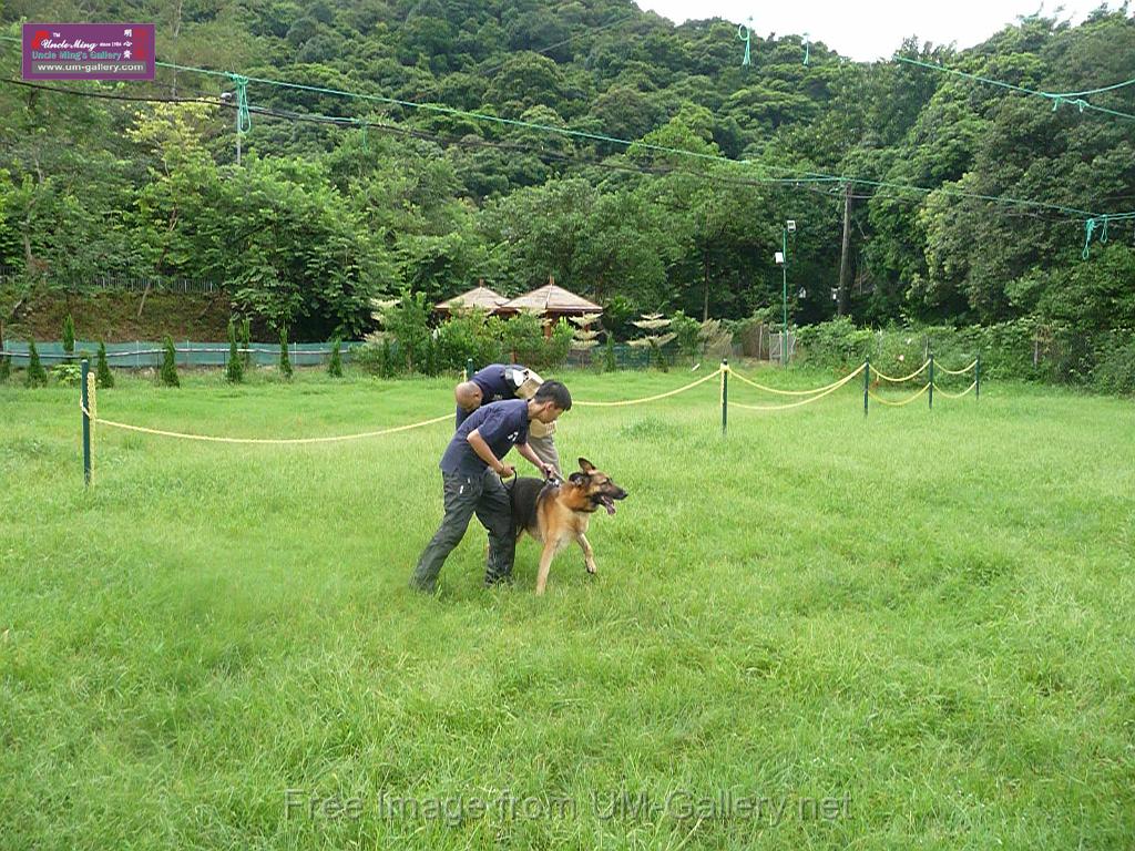 20130818jw_dog_training_P1140153.JPG