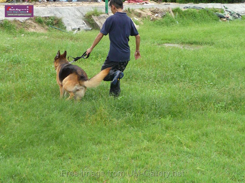 20130818jw_dog_training_P1140164.JPG