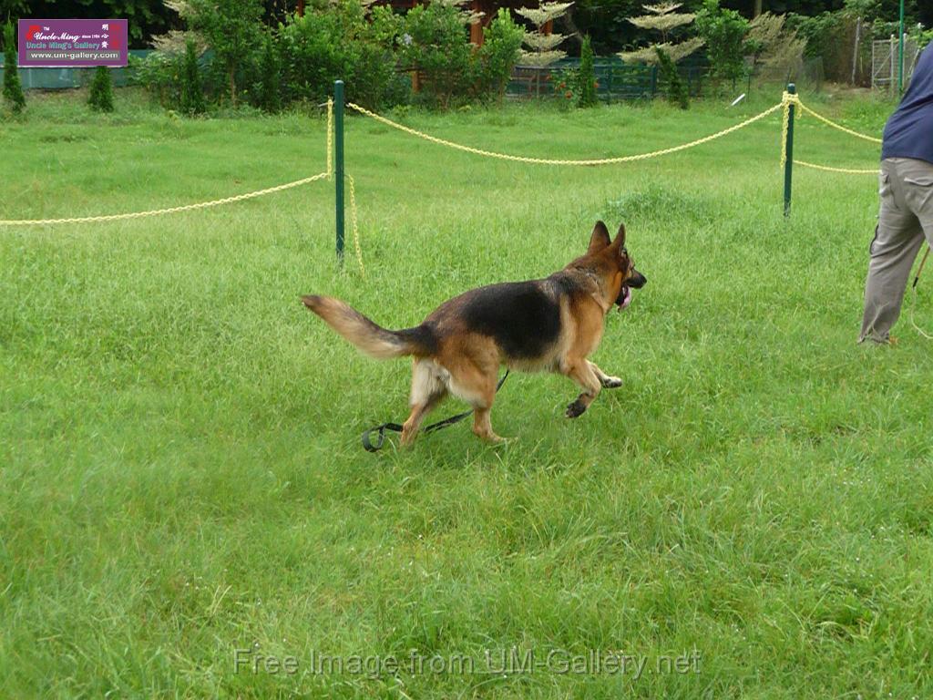 20130818jw_dog_training_P1140173.JPG