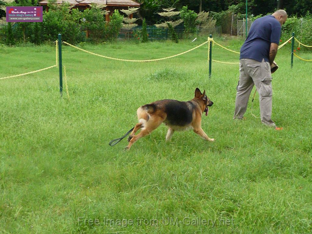 20130818jw_dog_training_P1140174.JPG