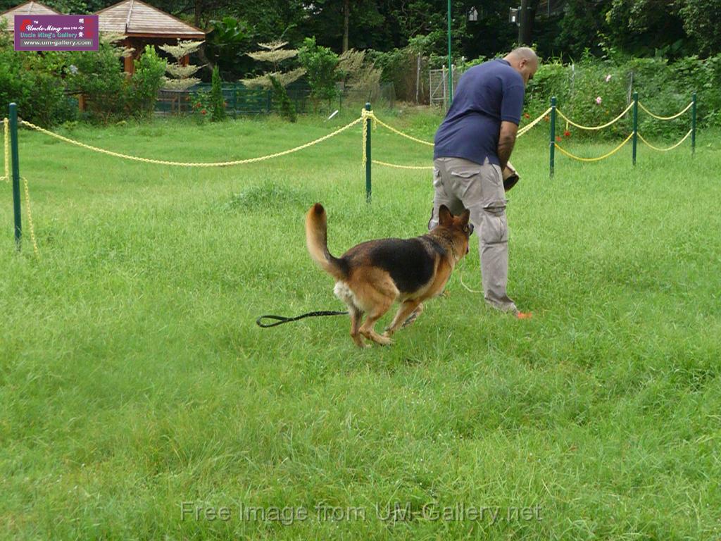 20130818jw_dog_training_P1140175.JPG