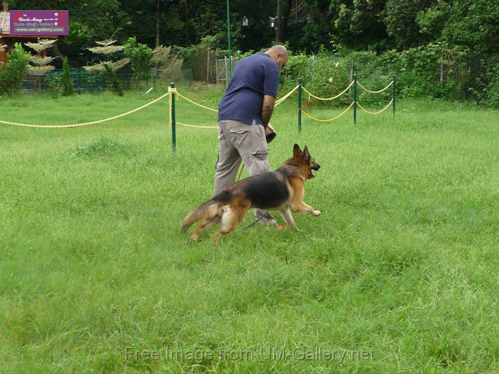 20130818jw_dog_training_P1140176.JPG