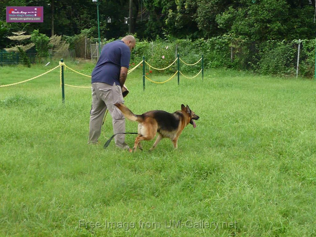 20130818jw_dog_training_P1140177.JPG