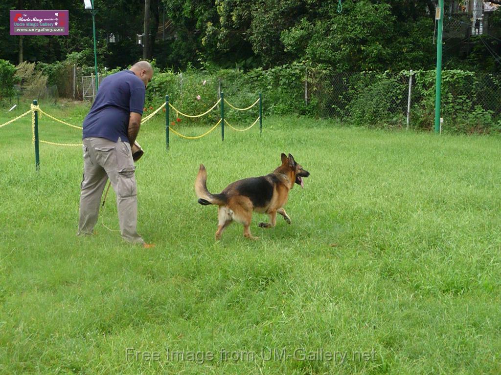 20130818jw_dog_training_P1140178.JPG