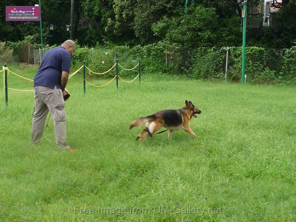 20130818jw_dog_training_P1140179.JPG