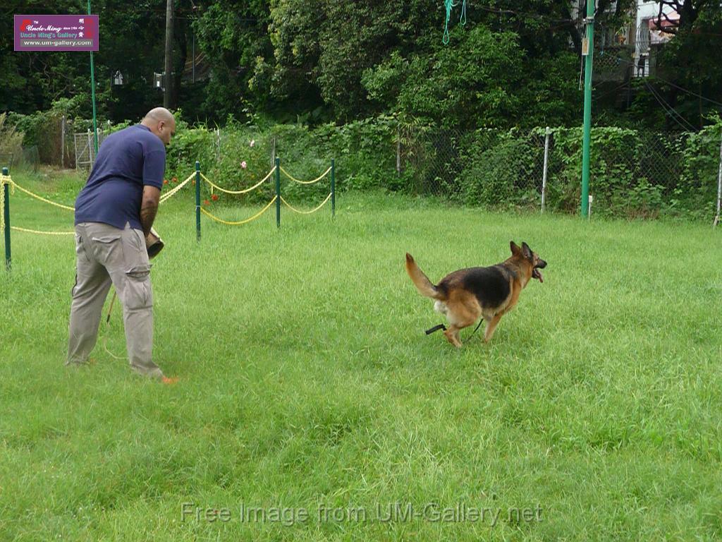 20130818jw_dog_training_P1140180.JPG