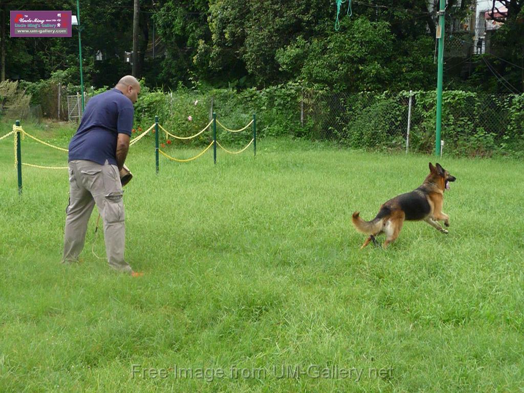 20130818jw_dog_training_P1140181.JPG