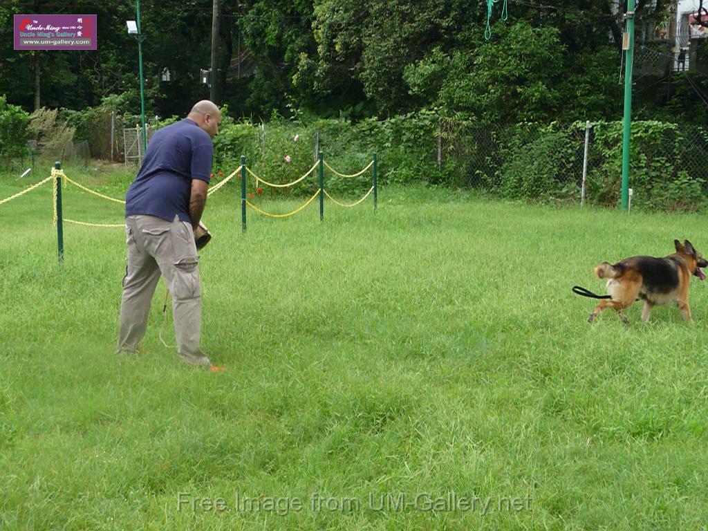 20130818jw_dog_training_P1140182.JPG