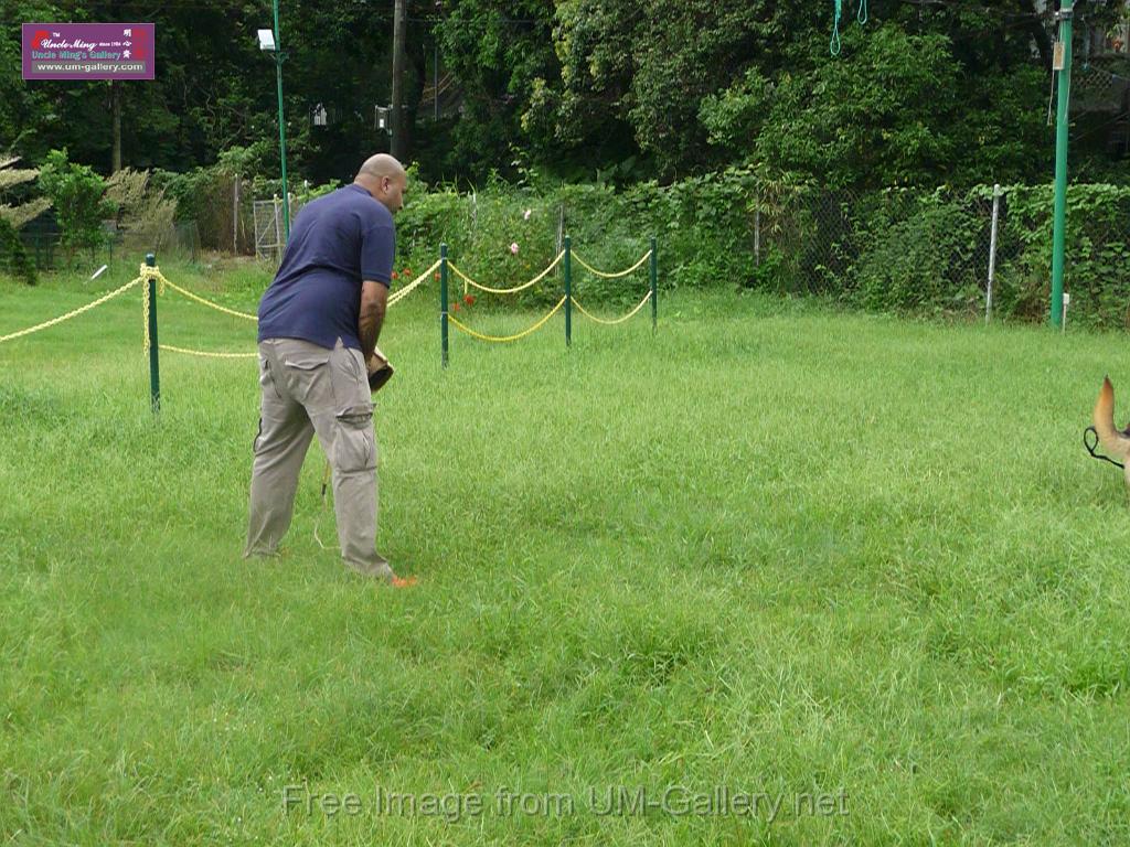 20130818jw_dog_training_P1140183.JPG