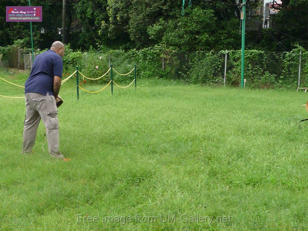 20130818jw_dog_training_P1140186.JPG