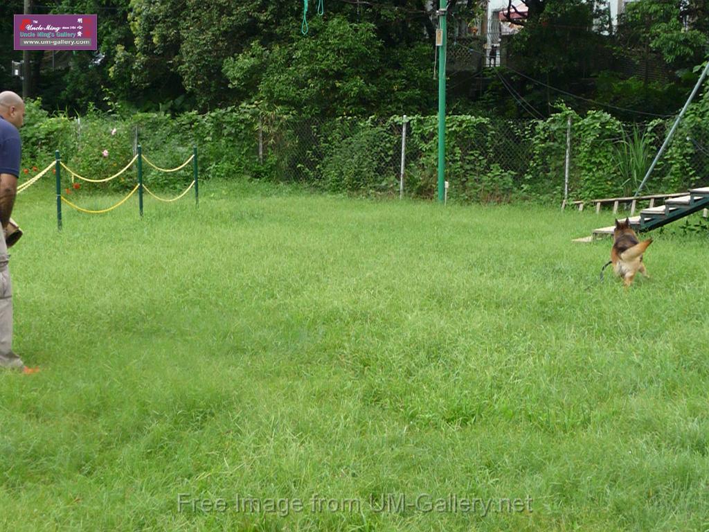 20130818jw_dog_training_P1140187.JPG