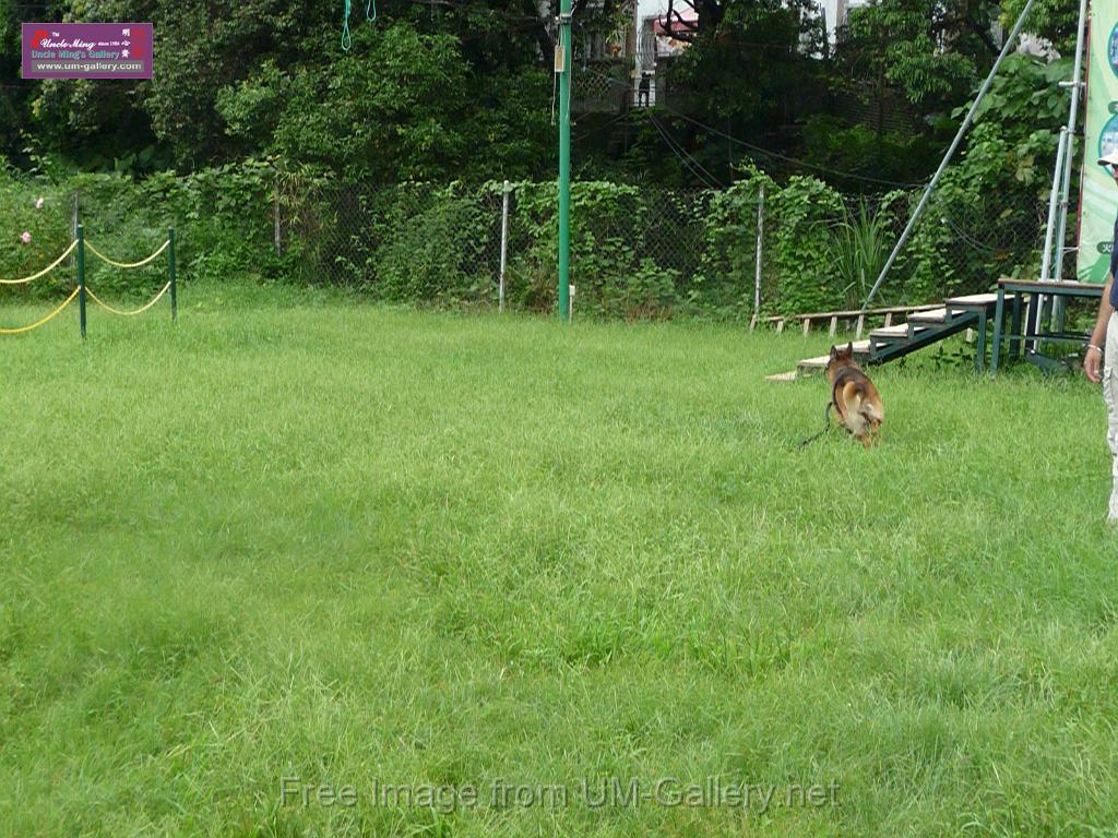 20130818jw_dog_training_P1140188.JPG