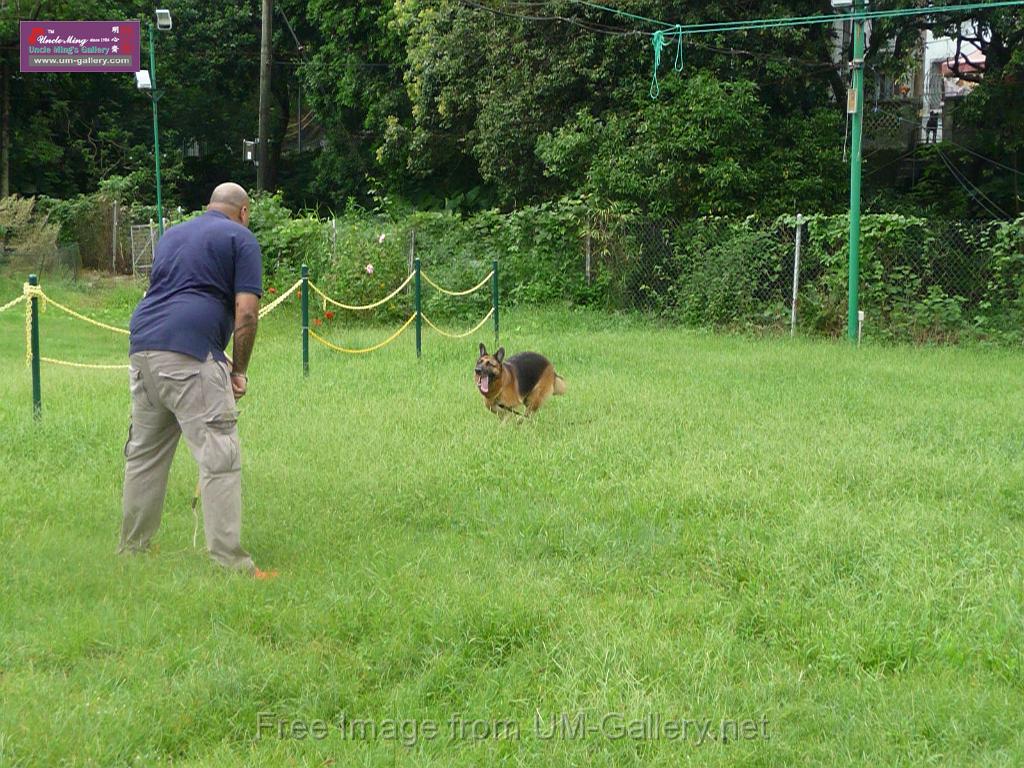 20130818jw_dog_training_P1140189.JPG