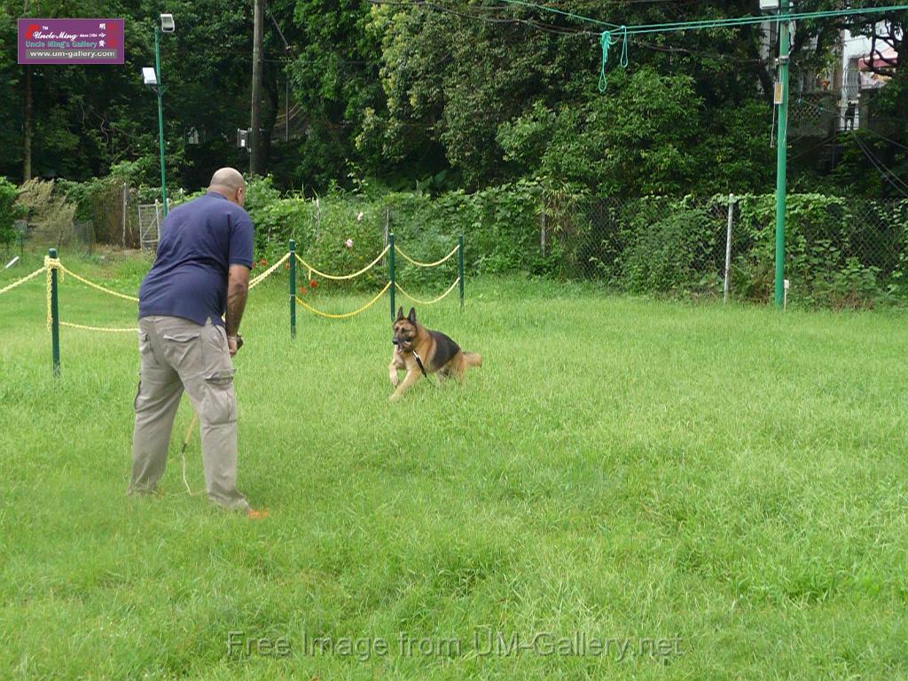 20130818jw_dog_training_P1140190.JPG