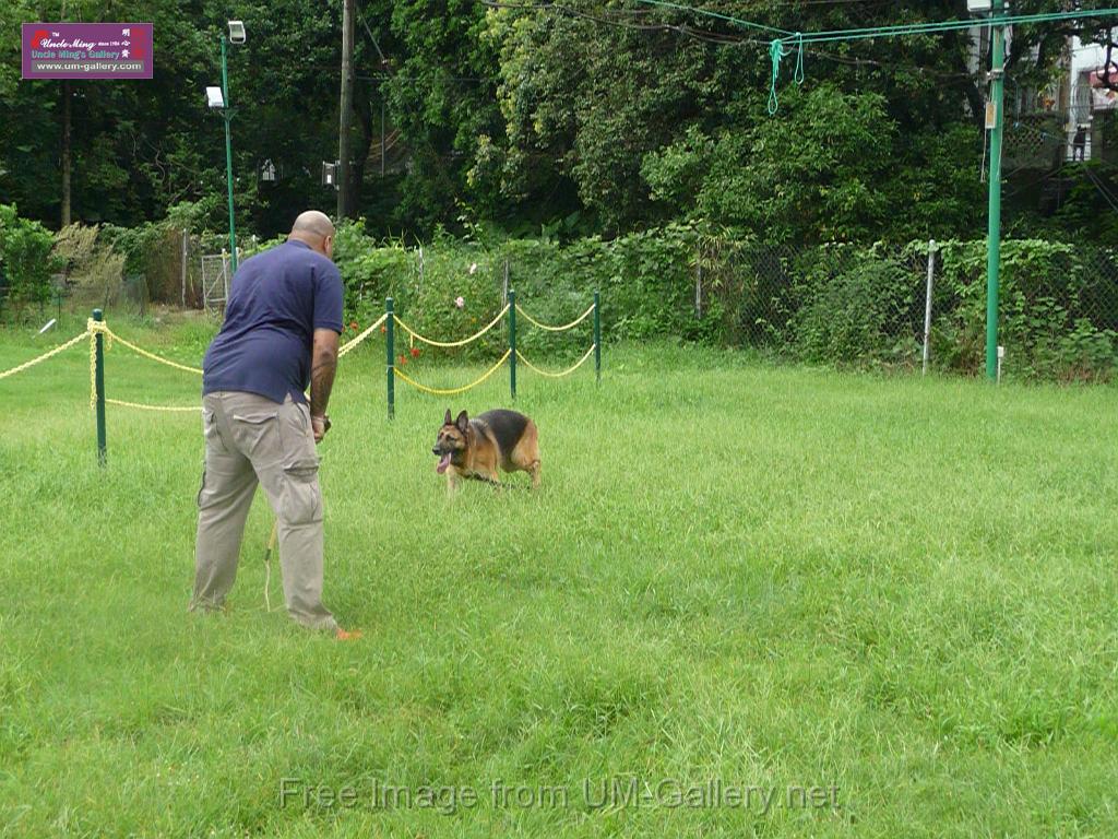 20130818jw_dog_training_P1140191.JPG