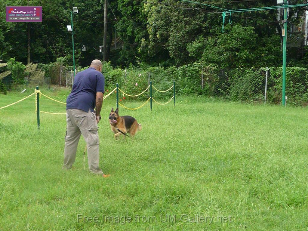 20130818jw_dog_training_P1140192.JPG