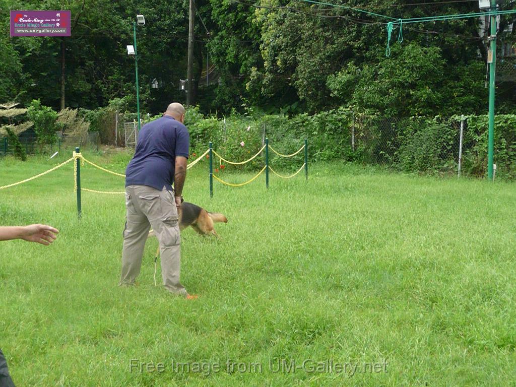 20130818jw_dog_training_P1140193.JPG