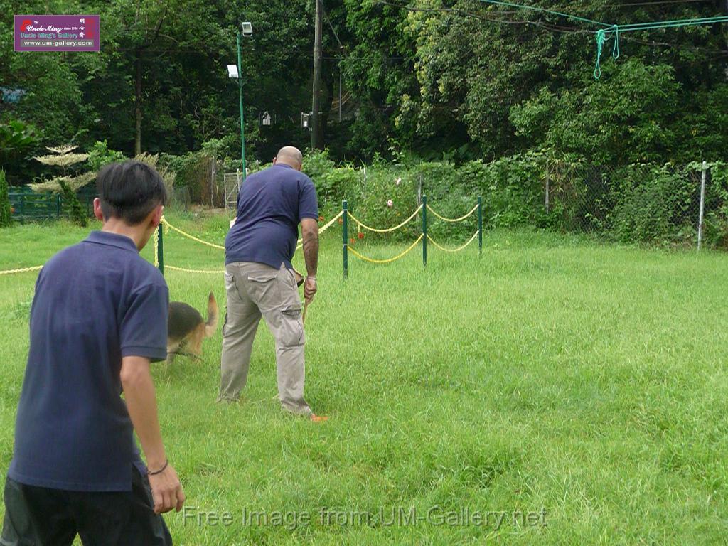 20130818jw_dog_training_P1140195.JPG