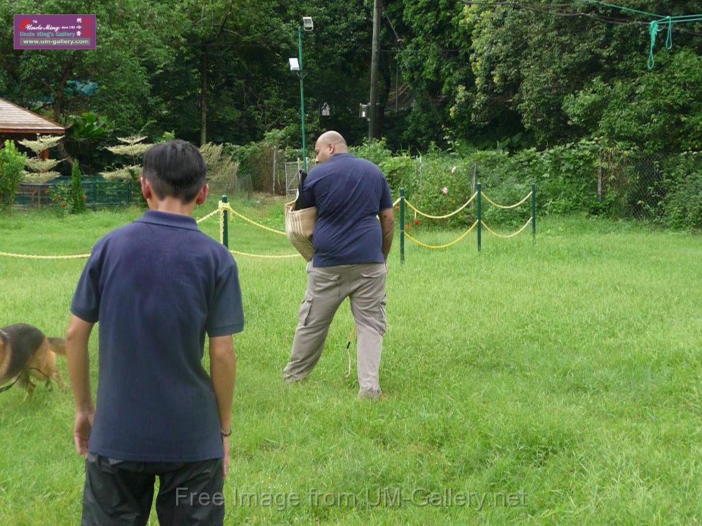 20130818jw_dog_training_P1140198.JPG