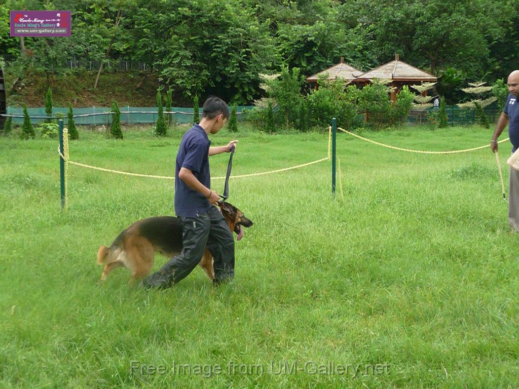 20130818jw_dog_training_P1140199.JPG