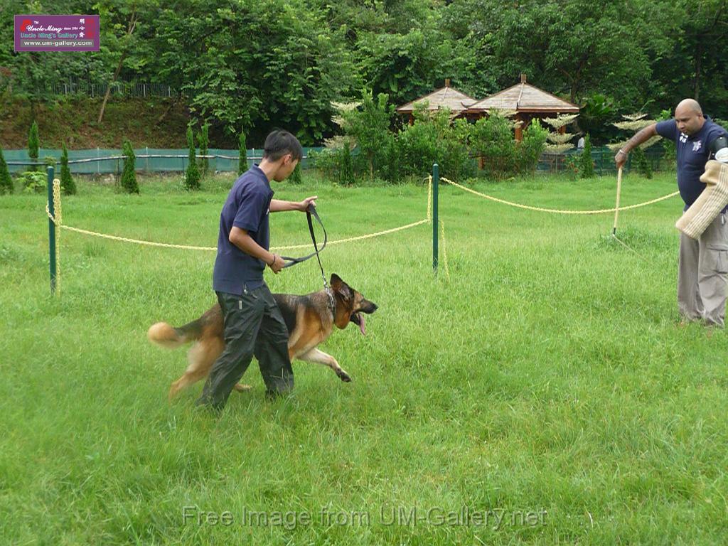 20130818jw_dog_training_P1140200.JPG