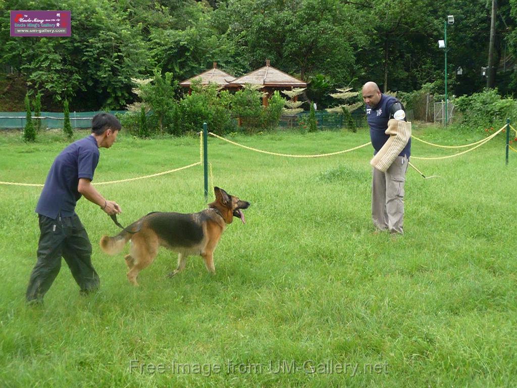 20130818jw_dog_training_P1140203.JPG