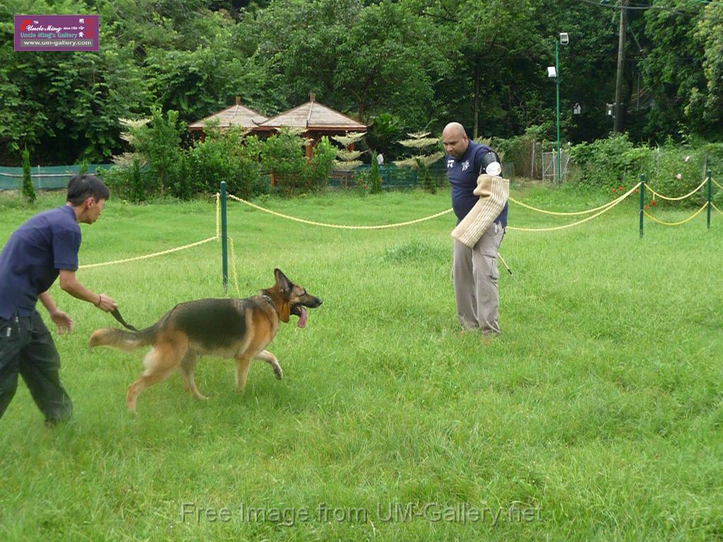 20130818jw_dog_training_P1140204.JPG