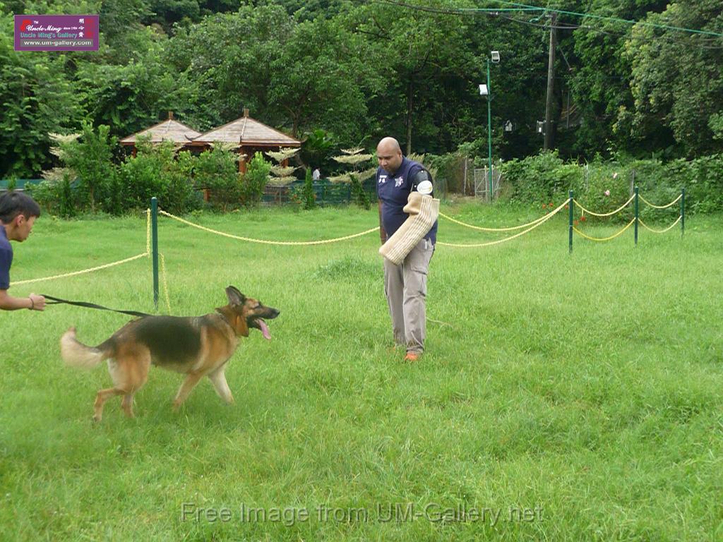 20130818jw_dog_training_P1140205.JPG