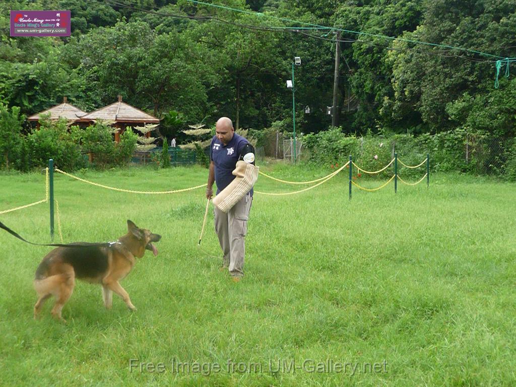 20130818jw_dog_training_P1140207.JPG